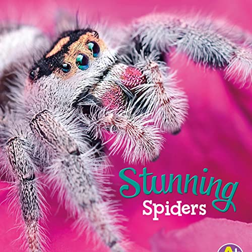 Stunning Spiders by Martha E. H. Rustad episode artwork