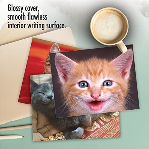 Image of The Best Card Company 10 Assorted Thank You Notes Bulk Box Set 4 x 5.12 Inch with Envelopes (10 Designs, 1 Each) Smitten Kittens M6485TYG