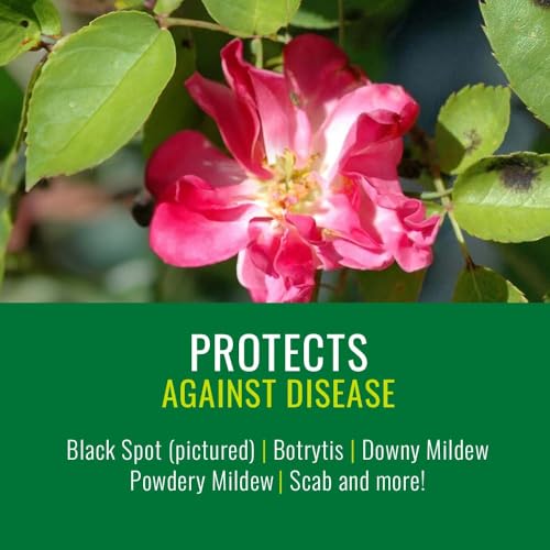 natria neem oil spray for plants pest organic disease control 24-ounce ready-to-use