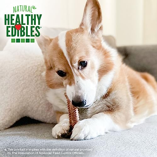 Image of Nylabone Healthy Edibles Natural Dog Chews Long Lasting Meaty Center Beef Flavor Treats for Dogs, Small (12 Count) (Pack of 2)