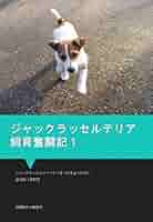 犬ページ ボーダーコリーの基本絆ができれば最高のパートナー 賢さNO．1