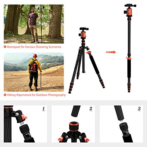 Geekoto 79 Inches Carbon Fiber Camera Tripod Monopod With 360 Degree Ball Head 1/4 Inch Quick Shoe Plate Professional Tripod Load Up To 26.5 Pounds #TOP3