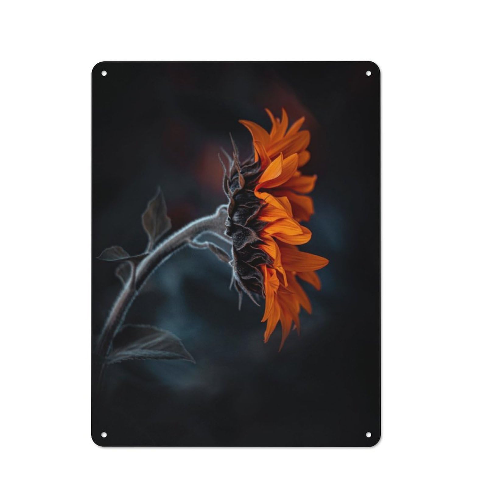 Junmoney Sunflower Portrait 3 Vintage Printed Metal Sign 40X30cm For Workshop Wall, A Decorative Gift For A Newly Furnished Workshop