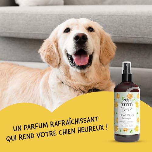 Vignette produit