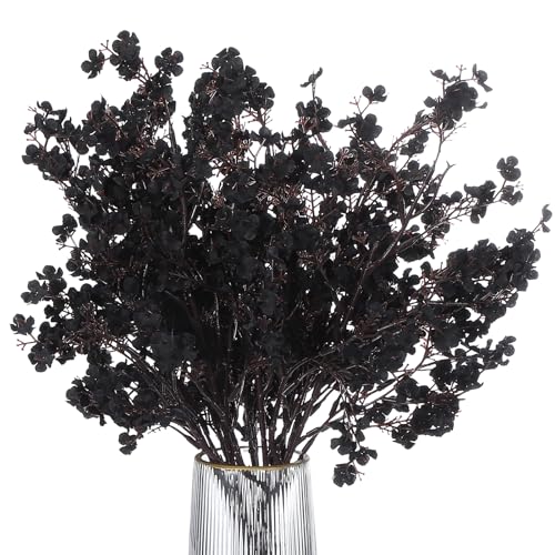 PATIKIL lH̉ԁA9̃[bp̋ỦDIYu[PỦԁAƒpK[fLb`fR[VEFfBOp[eB[fR[V