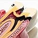 Dental Caries Tooth Model, YOUYA DENTAL 6 Times Caries Tooth Model Dental Anatomy Education Tooth Model Decay Teeth Comparative Study Model Teaching Typodont Model for Dentists Student Education