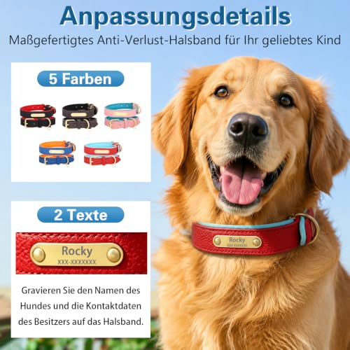 Personalisierbares Hundehalsband Leder mit Gravur Name & Telefonnummer, gepolstert Neopren, verstellbar, robust, mit Metall D- Ring für kleine bis große Hunde (L: 43- 53cm Hals, 3, 0cm Breit-4