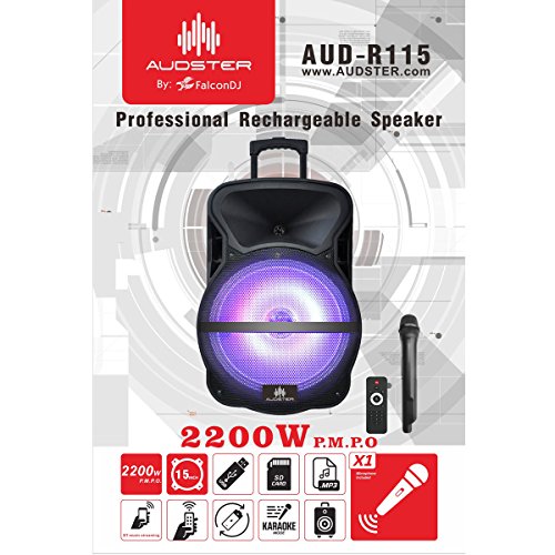 audster speaker