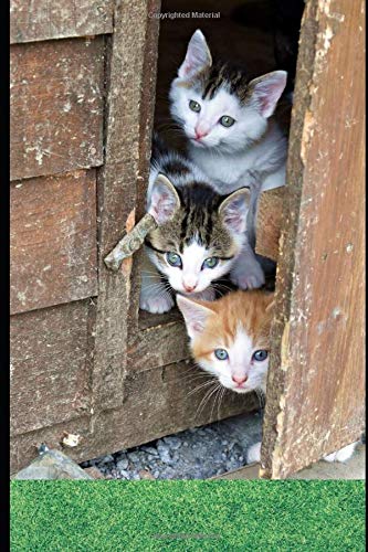 GROWING UP BABY--A Babyhood Journal Diary Notebook: For New Parents To Journal A Little Each Day and Share It With Baby Later In Life