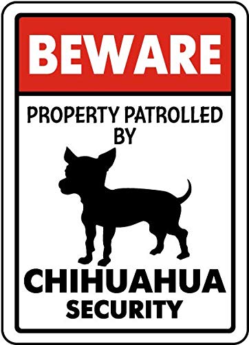 CCPARTON Metal Signs Beware Property Patrolled by Chihuahua Security Signs Traffic Sign Aluminum Signs Road Tin Signs for Outdoor Coffee Shop bar Club 8x12 Inches — image 1