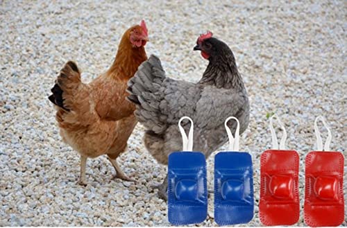 Dolphin Shop, Fighting Rooster Gamefowl Mitt Protective Poultry Bird Botas Para Breeding Supplies Color Blue & Red Leg Protect & Care 2 Pairs Red And Bule(F3) #TOP7