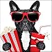 Produktbild MXJSUA DIY 5D Diamant Malerei Voll Runde Bohrer Kit Strass Bild Kunsthandwerk für Hauptwanddekor 30x30 cm Schwarze Bulldogge Halten Popcorn und Cola