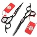 Purple Dragon 6.0 Inch Barber Professional Black Paint Hairdressing Scissors Salon Haircut Thinning Shears Set