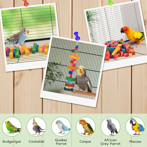 DBNESS Bird Toys for Parrot, 165 Pcs Colorful Multi-Shaped DIY Wooden Blocks Craft, Birds Cage Chewing Playing Training Toy for Large Cockatoos, Macaws, African Grey and Small Medium Parrots