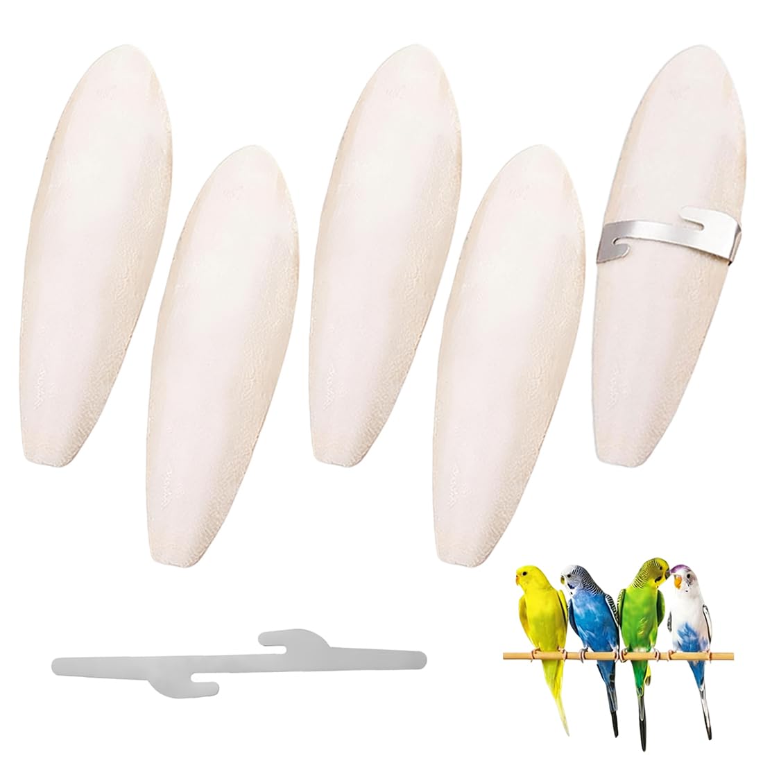 5 Osso Di Seppia Per Pappagalli + 2 Supporti Metallo, 7-9Cm, Giallo, Masticabile Per Uccelli E Tartarughe