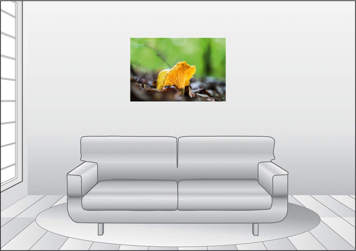 Premium Textil-Leinwand 90 x 60 cm Quer-Format Pfifferling | Wandbild, HD-Bild auf Keilrahmen, Fertigbild auf hochwertigem Vlies, Leinwanddruck von Markus Wuchenauer pixelrohkost.de