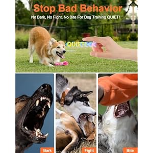 2024 Dog Training Bark Deterrent Device Antibarking Device with Hd Display and Led Flashlight for Dogs Stop Bad Behavior Without Yelling or Swatting Ultrasonic Stopper Alternative to Shock Collar  Cucciolini Doodles 2024 dog training bark deterrent device anti barking device with hd display and led flashlight for dogs stop bad behavior without yelling or swatting ultrasonic stopper alternative to shock collar   cucciolini doodles