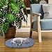 Ferplast Hundebett Relax, Hundekissen, Katzenkissen, Hundematte für Hundehütten und Autos – waschbar – aus Baumwolle mit weicher Polsterung, 43 x 30 cm. Himmelblau