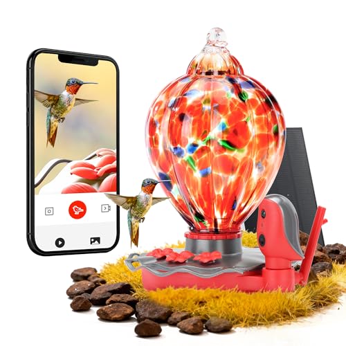 Smart Glass Hummingbird Feeder with Camera Solar Powered 2K- AI Identify & Water Detection, Instant Notification, Leakproof & Ant Moat TT Nature