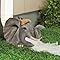 Amazon.com: Elenon Rabbit Decorative Gutter Downspout Extension Statue ...