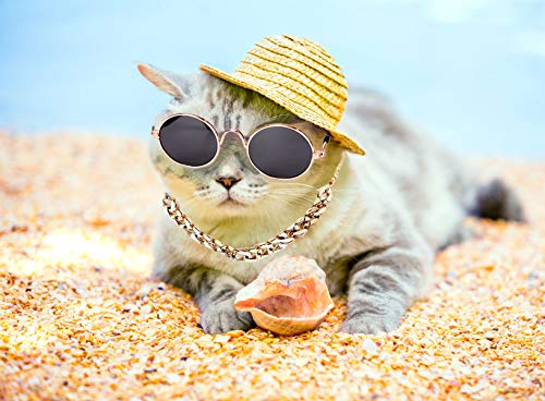 YESSART Pet Dog Cat Costume Black Sunglasses Gold Chain Collar Hat Set - Image 6