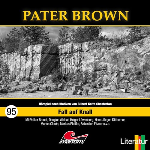 Fall auf Knall Audiolibro Por Silke Walter arte de portada