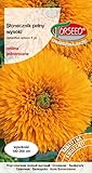 Tiempo de siembra ideal: sembrar semillas entre primavera. Proporcione una distancia de 180-200 cm entre las plantas para darles suficiente espacio para el crecimiento y la floración completa, maximizando su potencial decorativo.