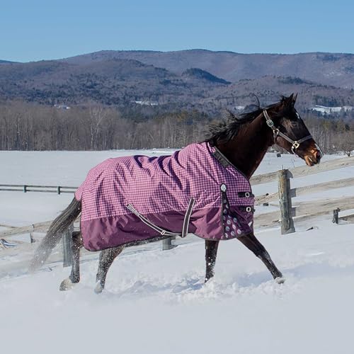 Image of Equinavia Norse Lightweight 100g Fill Horse Rain Blanket | Waterproof Turnout Sheet - Black - 66 in - Plum Wine /Orchid Haze - 72 in