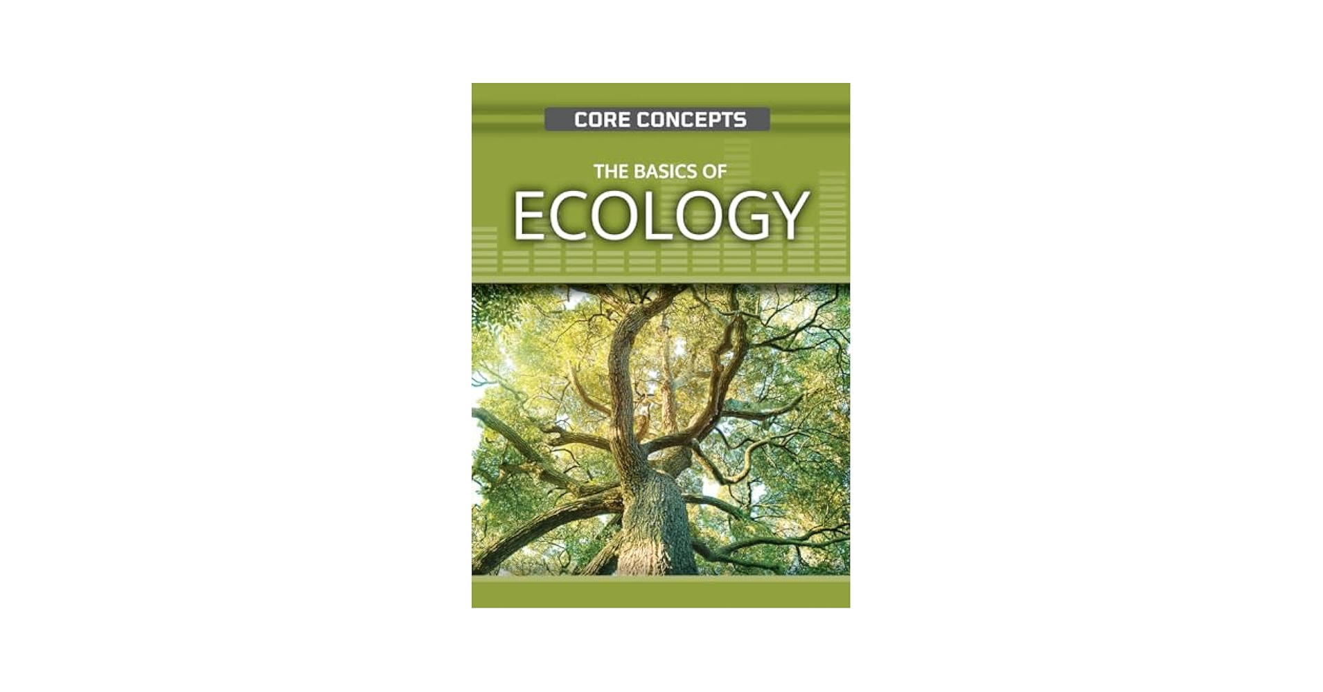 洋書 The Biology and Ecology The Biology and Ecology of Giant Kelp Forests: Schiel, David