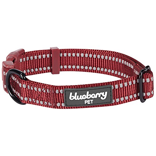 Blueberry Pet Essentials Safe & Comfy 3M Reflective Adjustable Dog Collar - Marsala Red, Medium, Neck 14.5