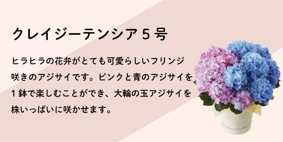 Hydrangea4936　0807指定18日 ◇揺れる宝石◇誕生石対応◇Tiara Heart ティアラハート