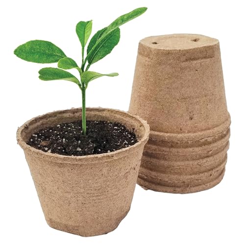 Jiffy Plant Pot - Organic Seed Starting Biodegradable Pots for Seedlings - 5 in 100 Pots - Peat