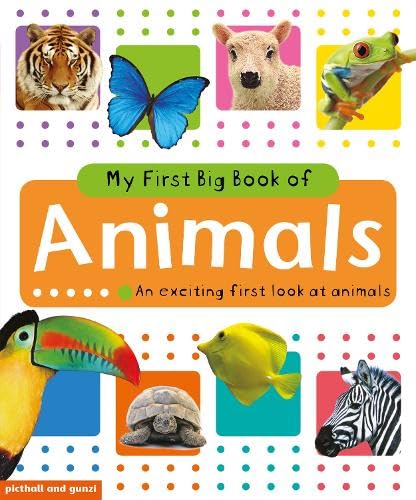 Buy My Big Book of Animals (My Big Book of Early Learning Series) Book ...