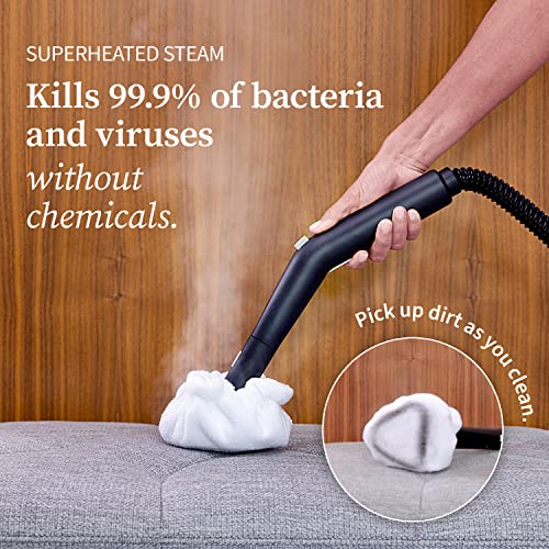 Dupray Neat Steam Cleaner Powerful Multipurpose Portable Steamer for