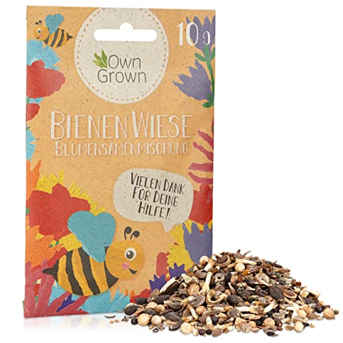 Bienenwiese Blumenmischung: 10g Premium Bienen Saatgut für Bunte Bienenweide, Bienen und Hummelmagnet – bienenfreundliche Blumensamen Mischung – Blumenwiese Samen – Blumensamen Geschenk OwnGrown