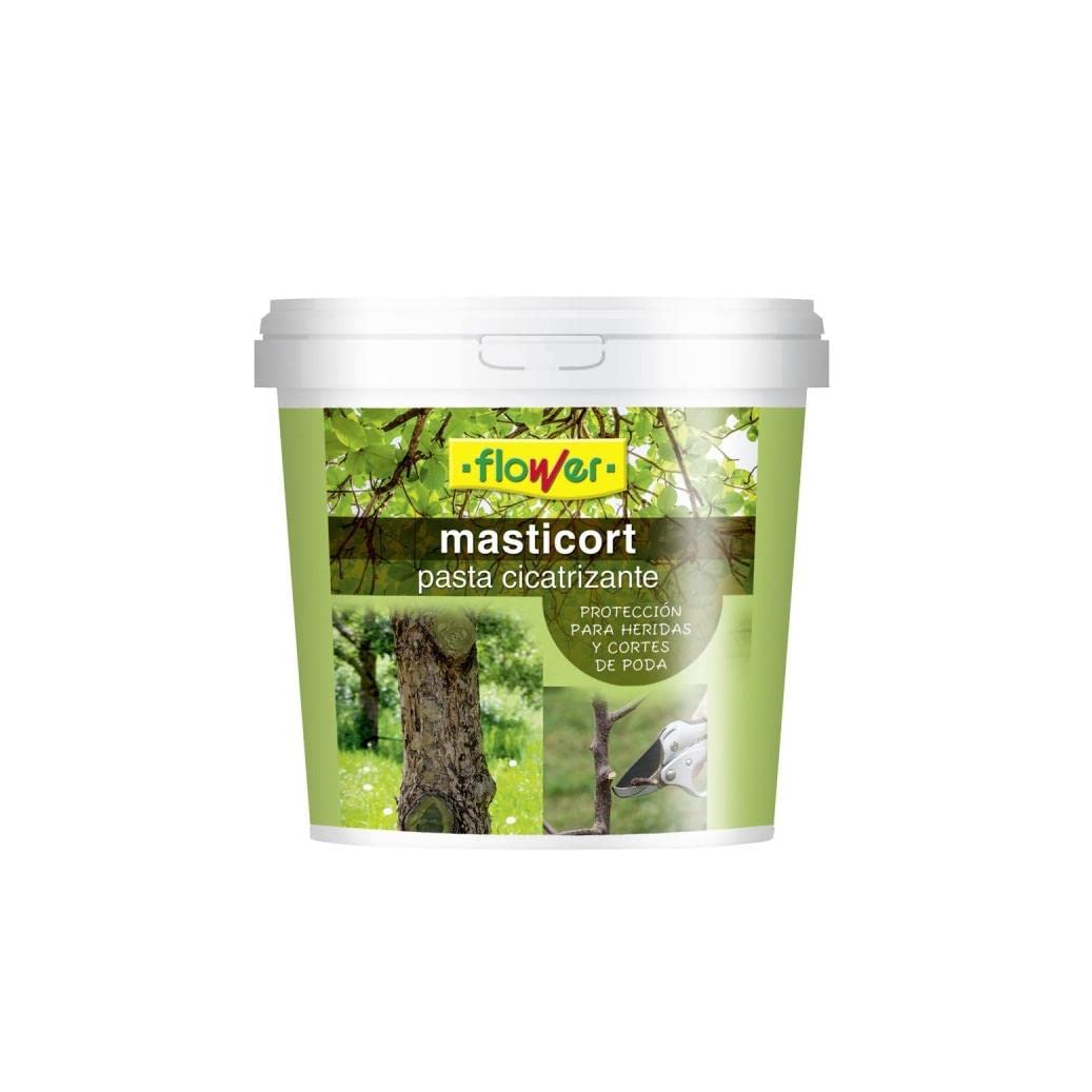 Masti-Cort Cicatrizante, 1kg