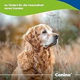 V 25 Vitamintabletten Vet. 200 g