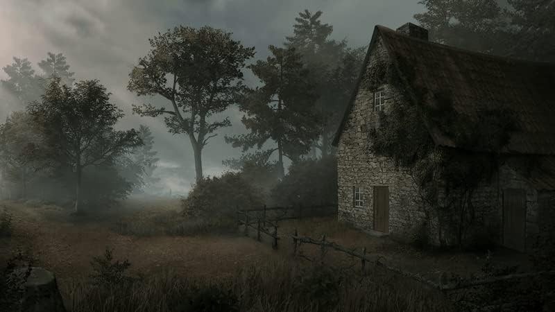 Saint Kotar Nintendo Switch l'histoire interactive qui change de fin