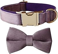 Vista 28 de Love Dream Collar de Perro con Corbatín, Collares de Terciopelo para Perro con Corbatín Desmontable y Hebilla de Metal, Collares de Corbatín Suaves