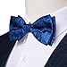 DiBanGu Boys Pre-tied Bow Tie,Silk Adjustable Bowtie and Pocket Square for Age 8-14 Kids Bowtie Wedding School Ceremony Party, Royal Blue