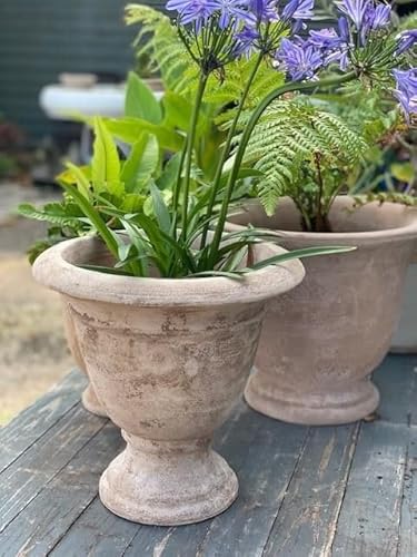Tall Tapered Terracotta Urn, Farnham Pot Holder, Urn Planter, Rustic Claypot, Tall Pot, Goblet Pot, Wide Opening Outdoor Pot, Beige Rustic Brown Pot