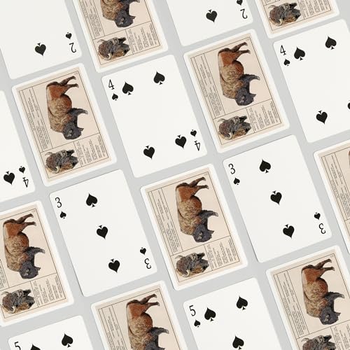 Lantern Press Wyoming Bison 52 Cartas Póker Adultos miniatura 4