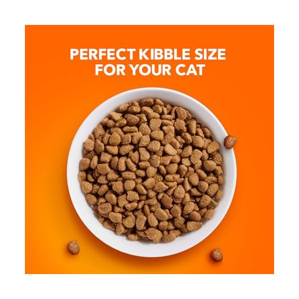IAMS Proactive Health Adult Original with Chicken Dry Cat Food 16 Pounds by Iams – Bild 11