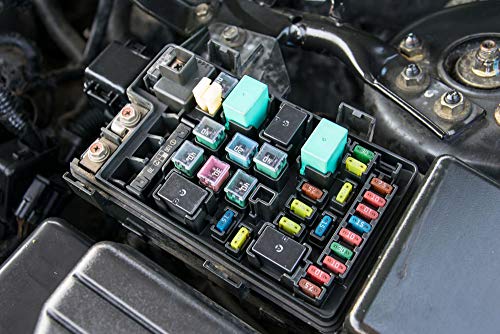 25 Pack Automotive MCASE Cartridge Fuse Kit for Cars, Trucks, and SUVs