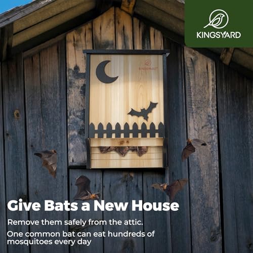 Kingsyard KYBH233CP Wooden Bat Houses For Outdoors thumb #4