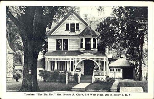 The Big Elm, 134 West Main Street Batavia, New York NY Original Antique Postcard