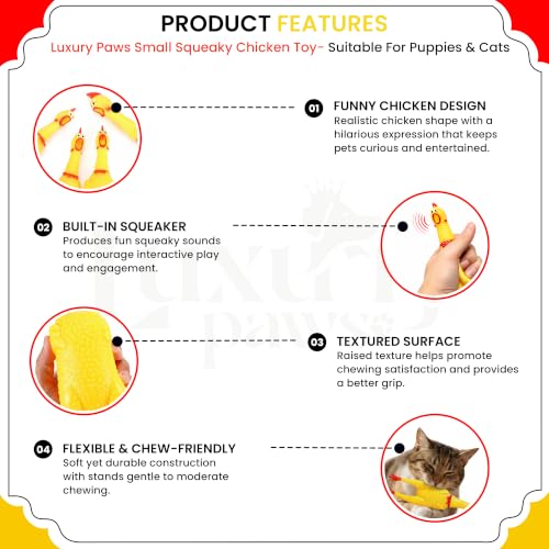 Image of Hen Chicken Squeaky Dog Toy - Medium Pack of 2