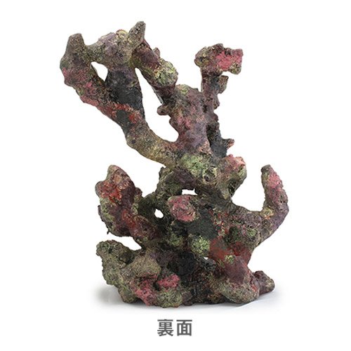 水槽 擬岩 ライブロックモジュールC レッドシー レイアウトオブジェ Amazon | ライブロックモジュール C アクアリウム 擬岩 沖縄別途送料