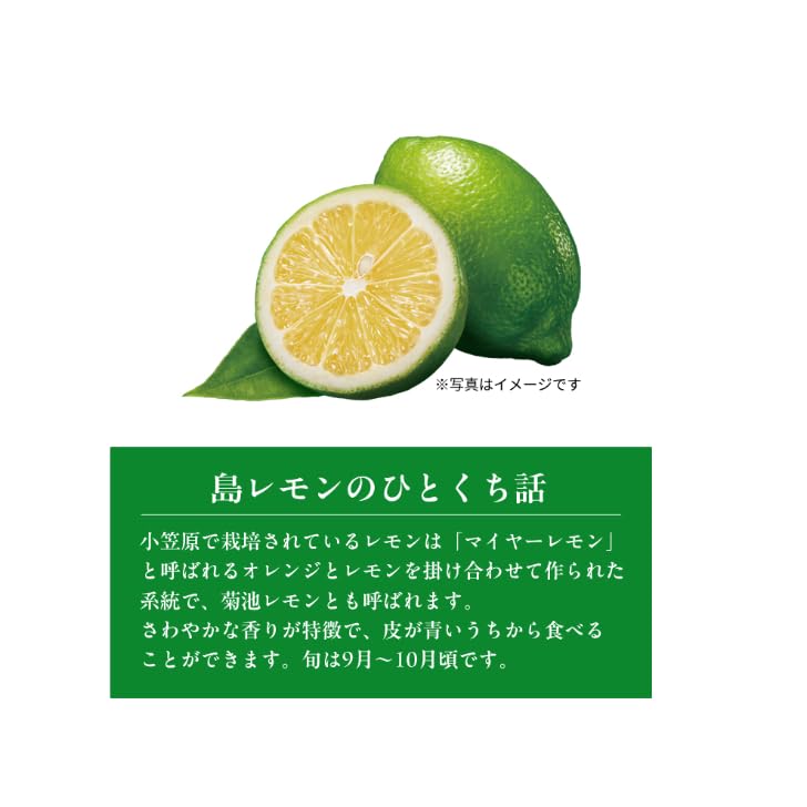 Amazon.co.jp: キットカット ミニ 東京島レモン 10枚入 東京土産
