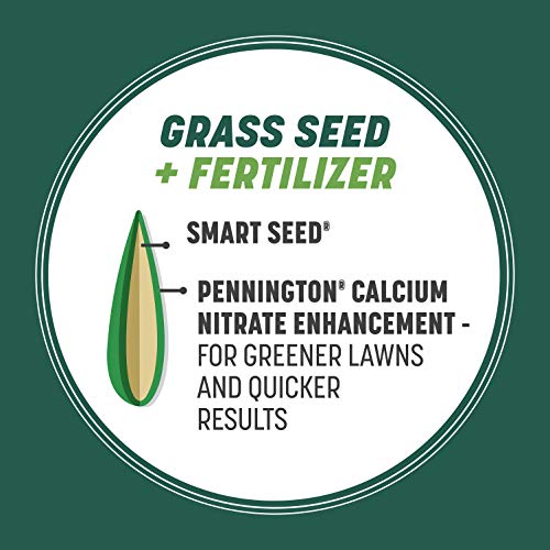 Pennington Smart Seed Southern Mix - Image 5